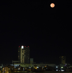 MOON MIHAMA