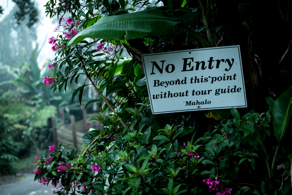 Hawaii / Kona Coffee Farm