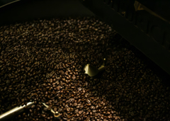 Coffee Beans / Hawaii