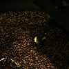 Coffee Beans / Hawaii