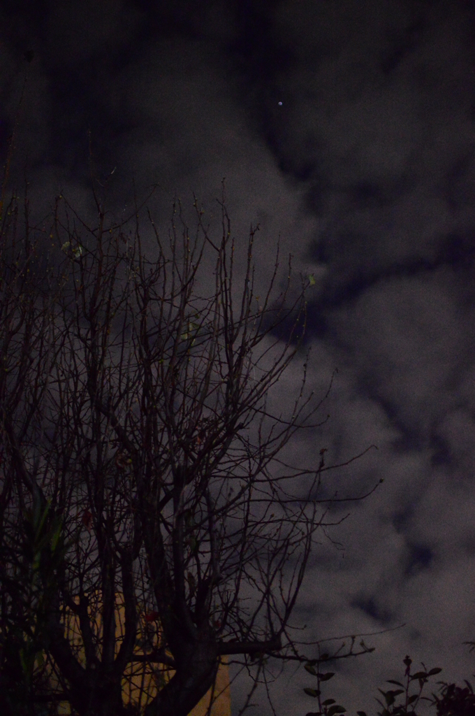 夜雲