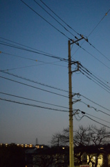 暮れ空に電柱立つ