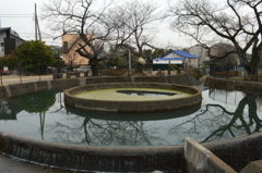 定点観測・久地円筒分水20140125