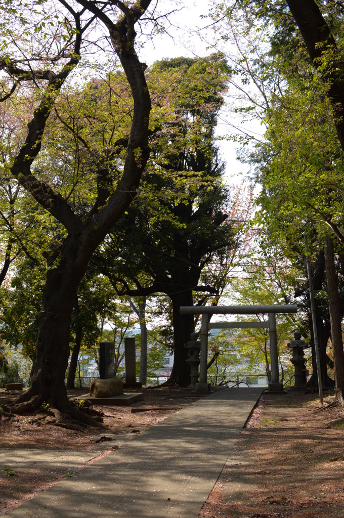 木漏れ日参道