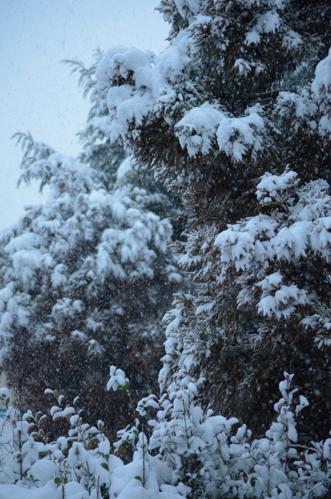 雪山感