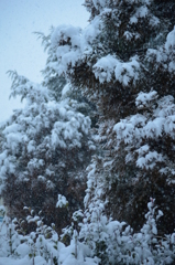 雪山感