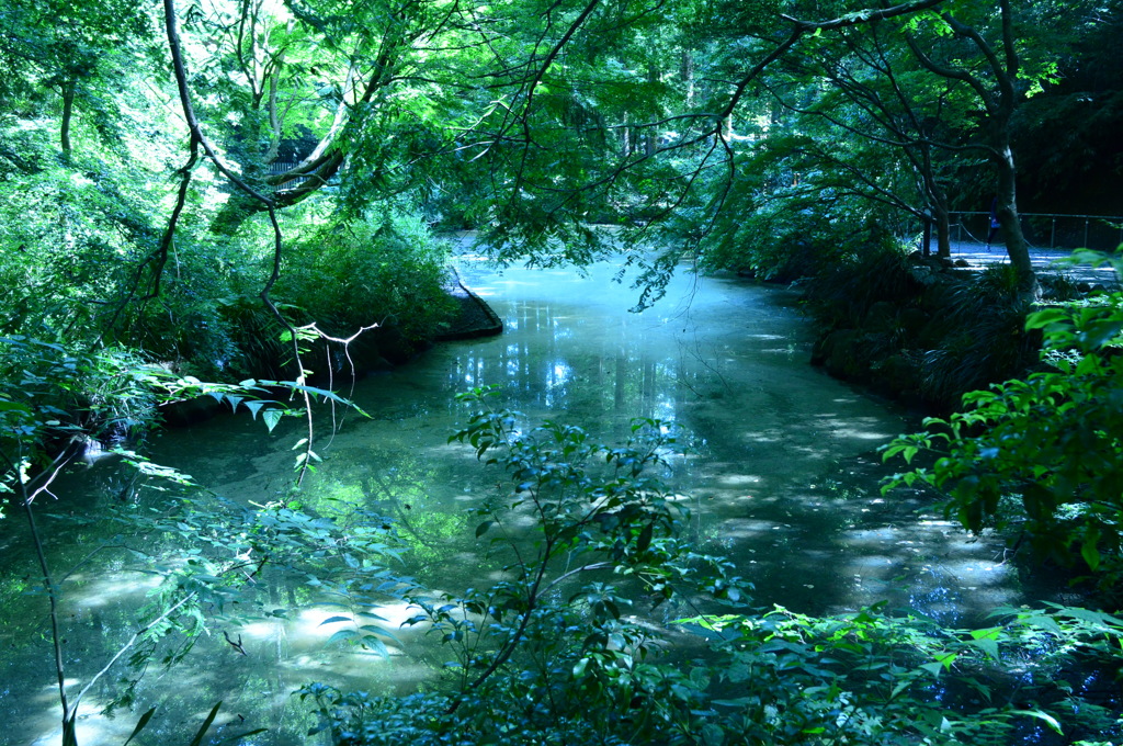 神秘の池