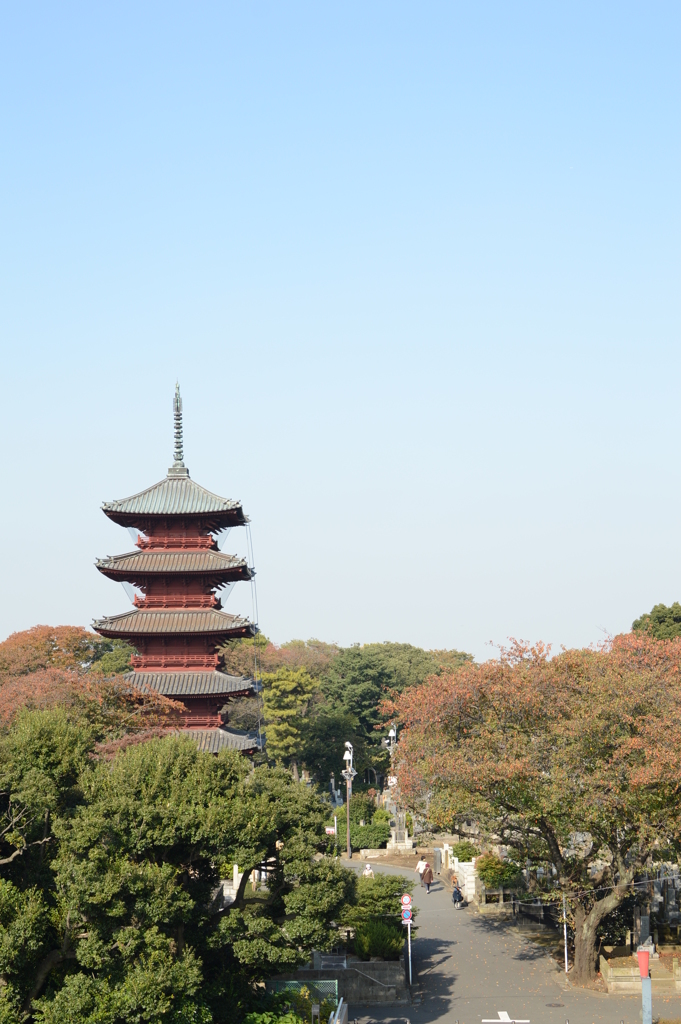 池上本門寺・五重塔