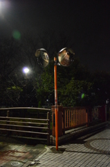 夜の散歩の分かれ道