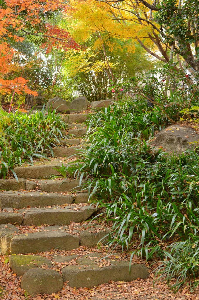 紅葉への石段