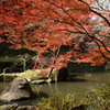 水辺の紅