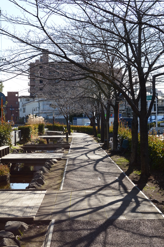 冬の散歩道