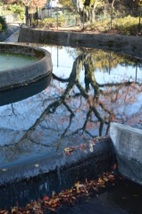 春待つ水鏡