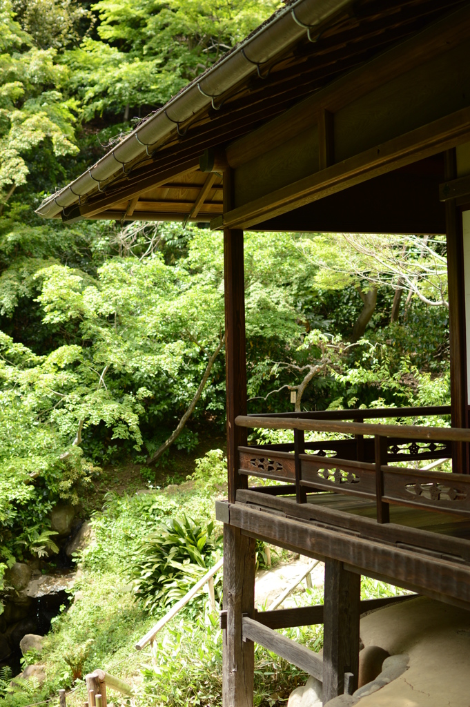 薫る風わたる廊下