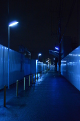 夜の散歩の迷い道