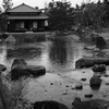池のほとり
