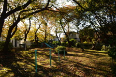 木漏れ日の公園