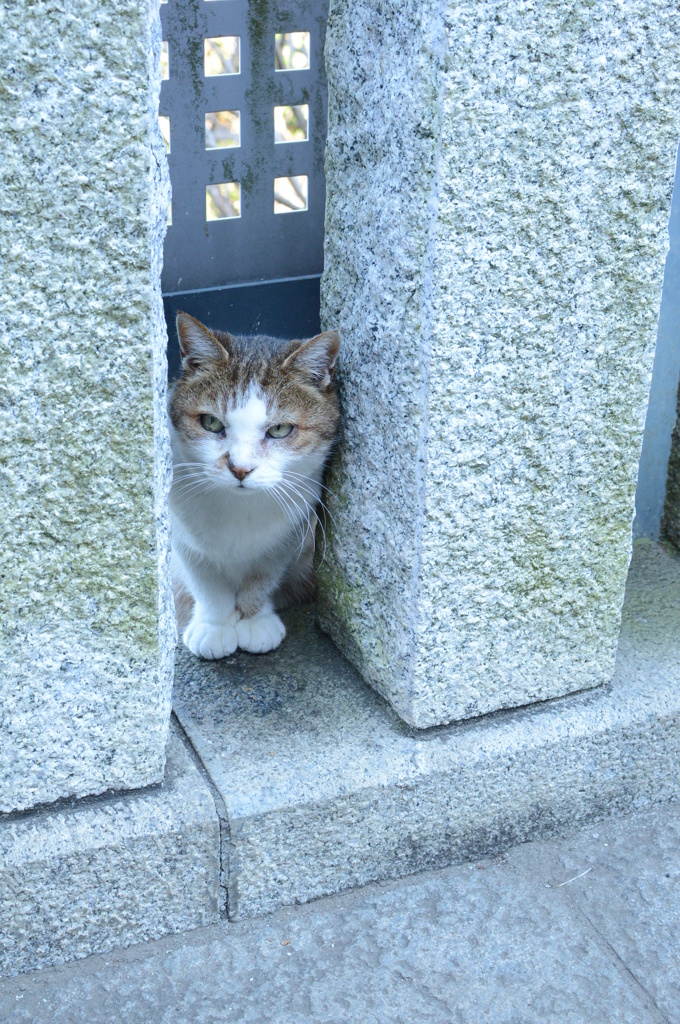 隙間から