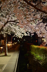 花と川