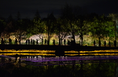 夜行
