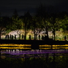 夜行