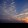 夕日