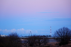 DSC07154.jpg-1