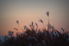 DSC06526-p