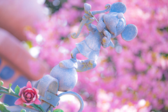 F1958335-7002-4F80-B9AD-A4E559CD702C