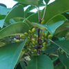 DSCF0281