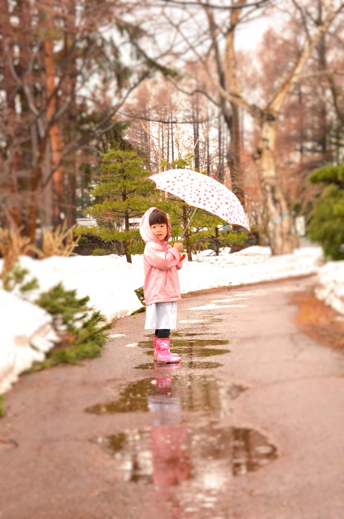 雨の日