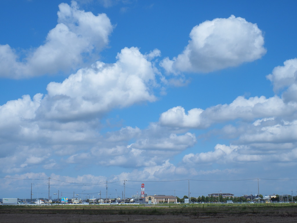 夏が来る！台風もくるの？雲のお散歩！！