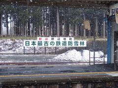 今年三度目の帰郷