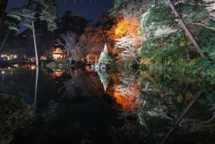 兼六園ライトアップ秋の段 瓢池