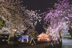 富山県護国神社