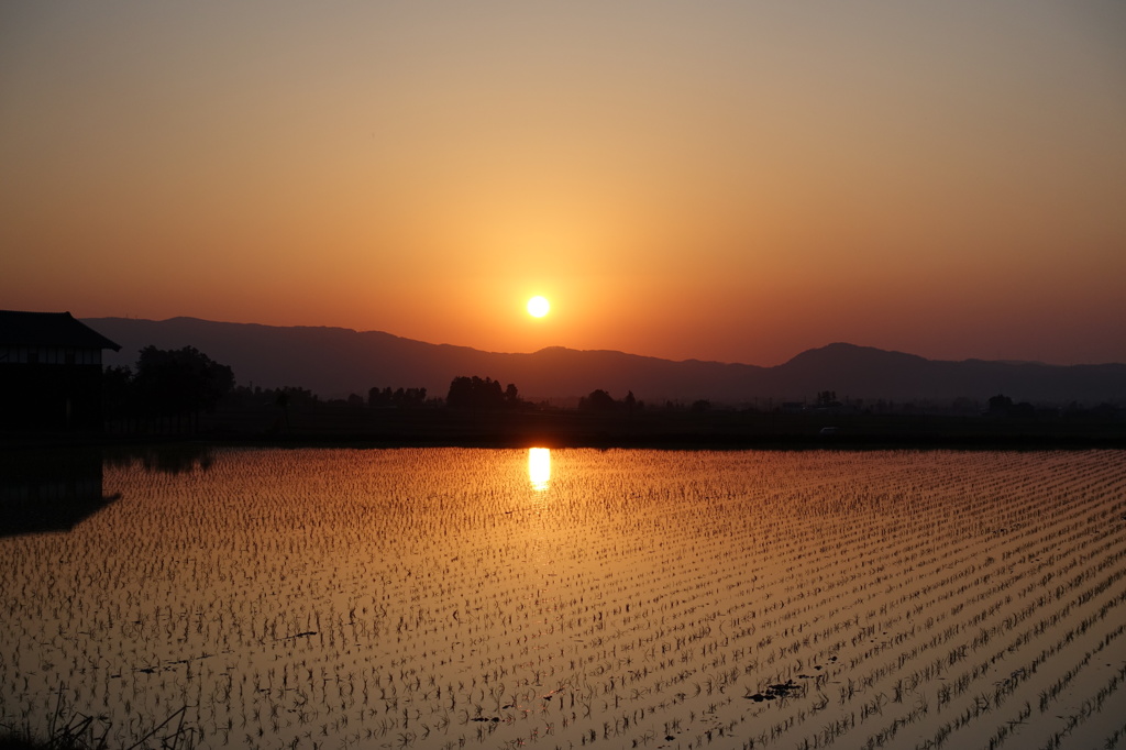 砺波平野