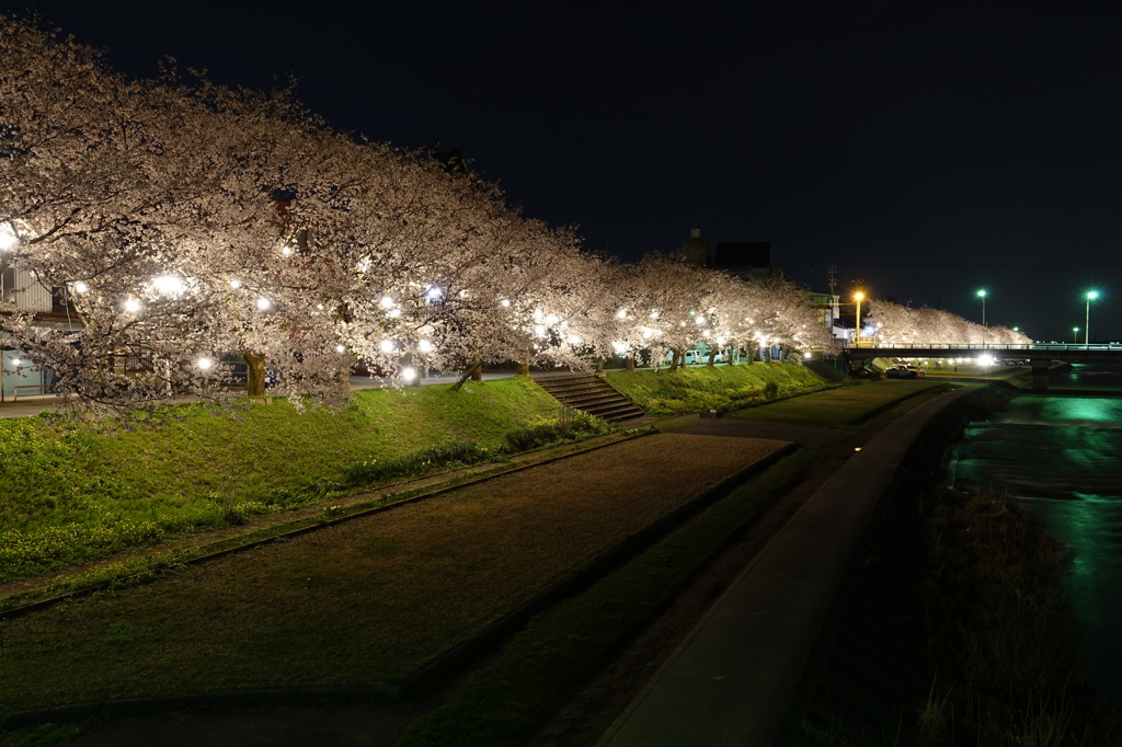 ふくみつ河川公園