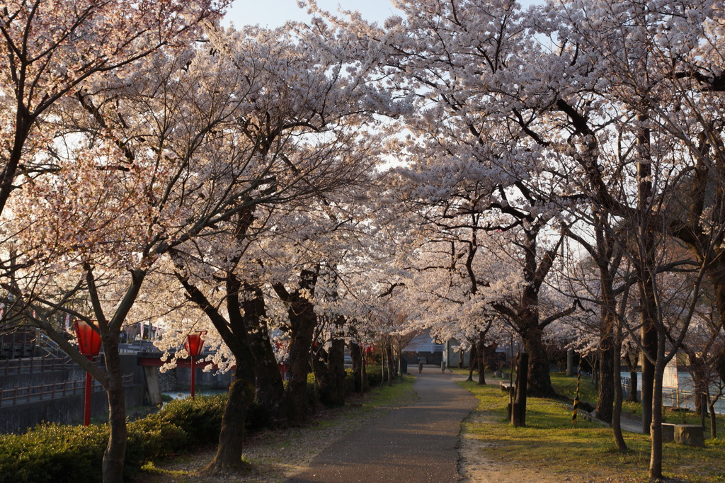 庄川水記念公園