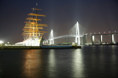 海王丸と新湊大橋
