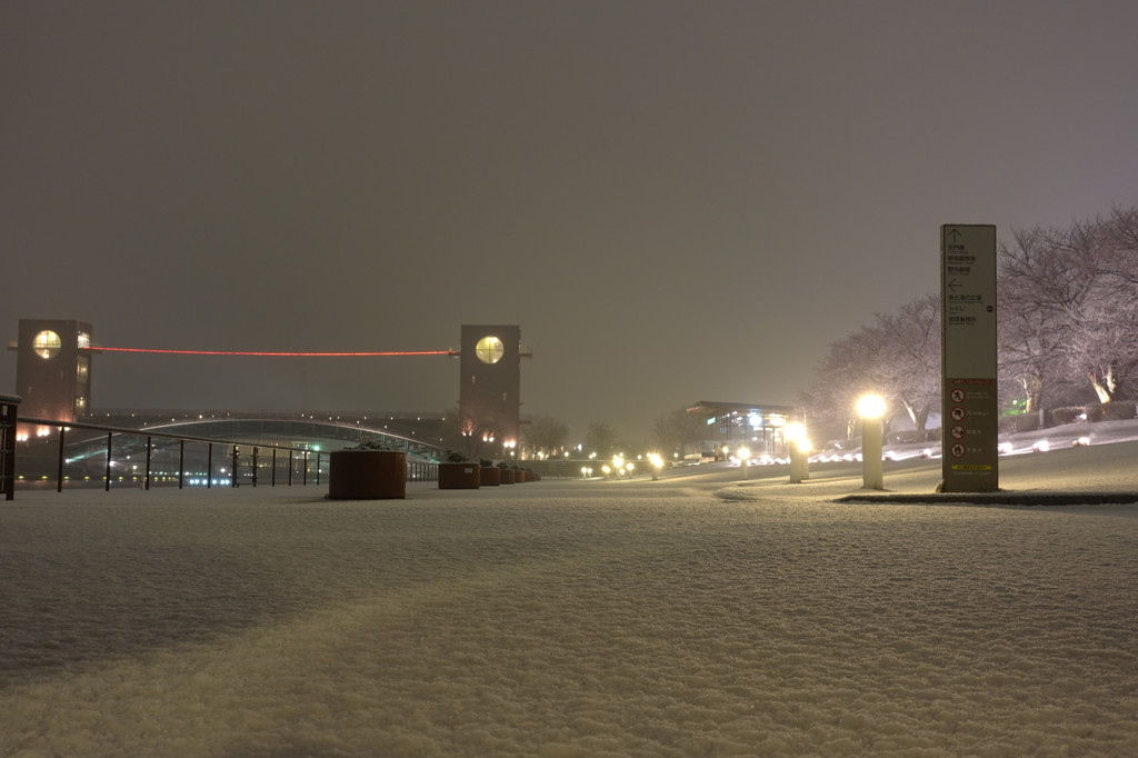 今年最後の雪！？