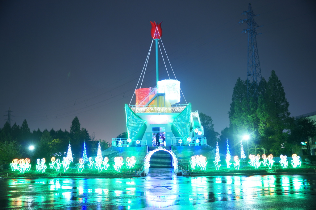 チューリップ公園