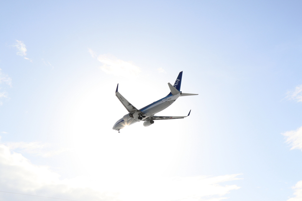 久しぶりの青空