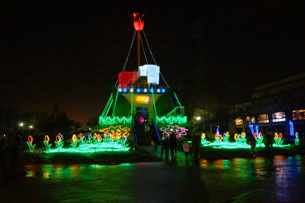 チューリップ公園
