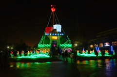 チューリップ公園