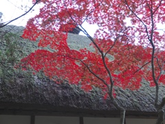 DSCF1212