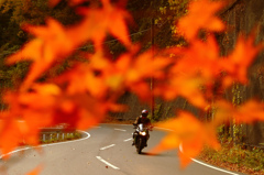 紅いトンネル