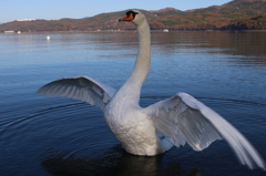 湖畔にて