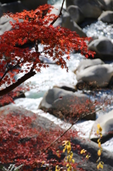 渓流と紅葉　その２