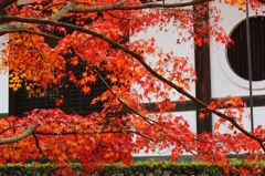 最ごの紅葉