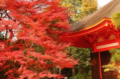 東福寺